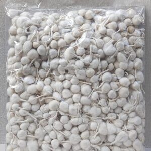Premium Round Cotton Phool Bati
